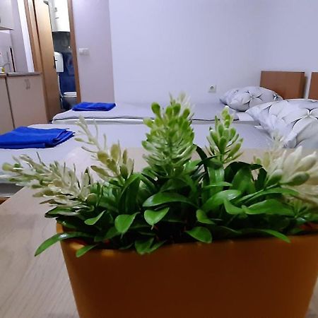 Apartment Riki 3 Near Bus Station Ohri Dış mekan fotoğraf