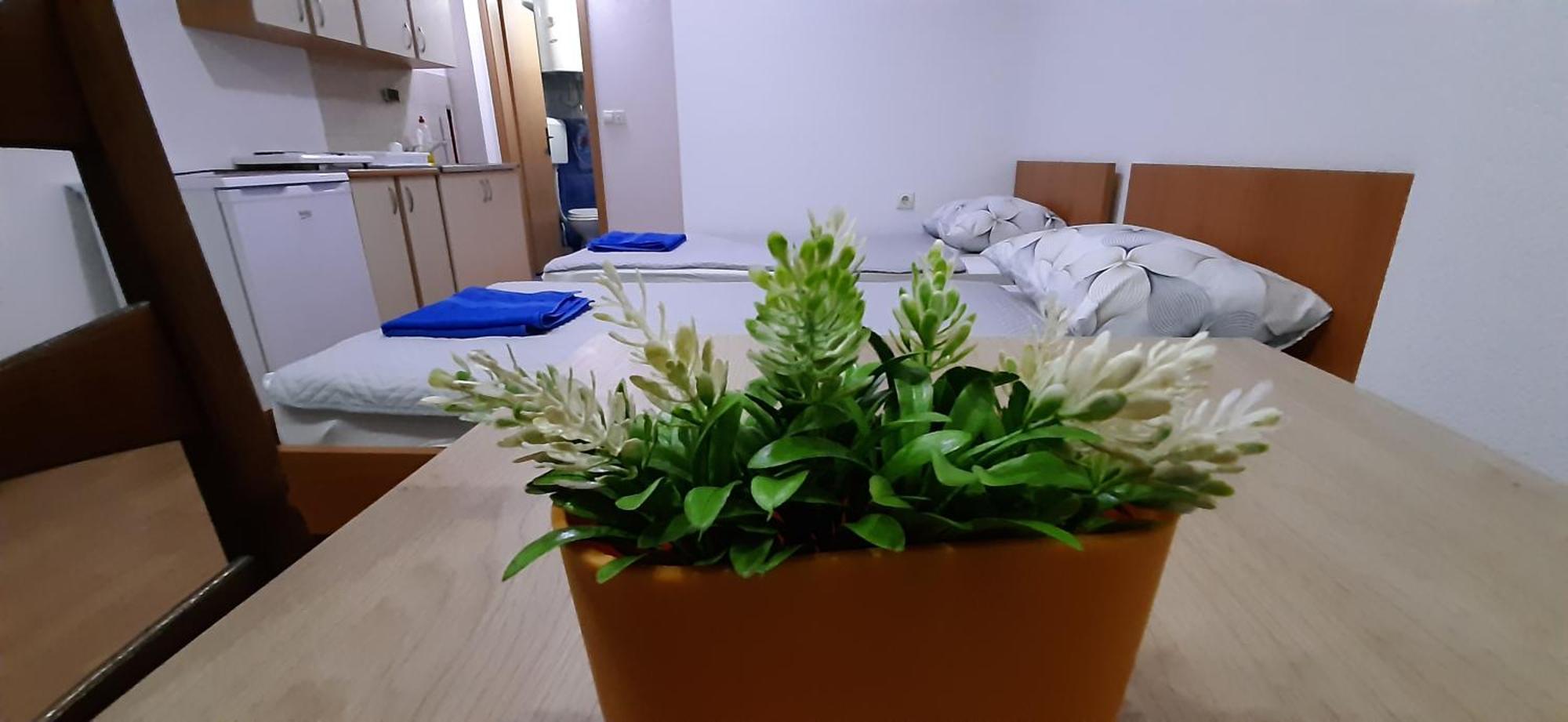 Apartment Riki 3 Near Bus Station Ohri Dış mekan fotoğraf